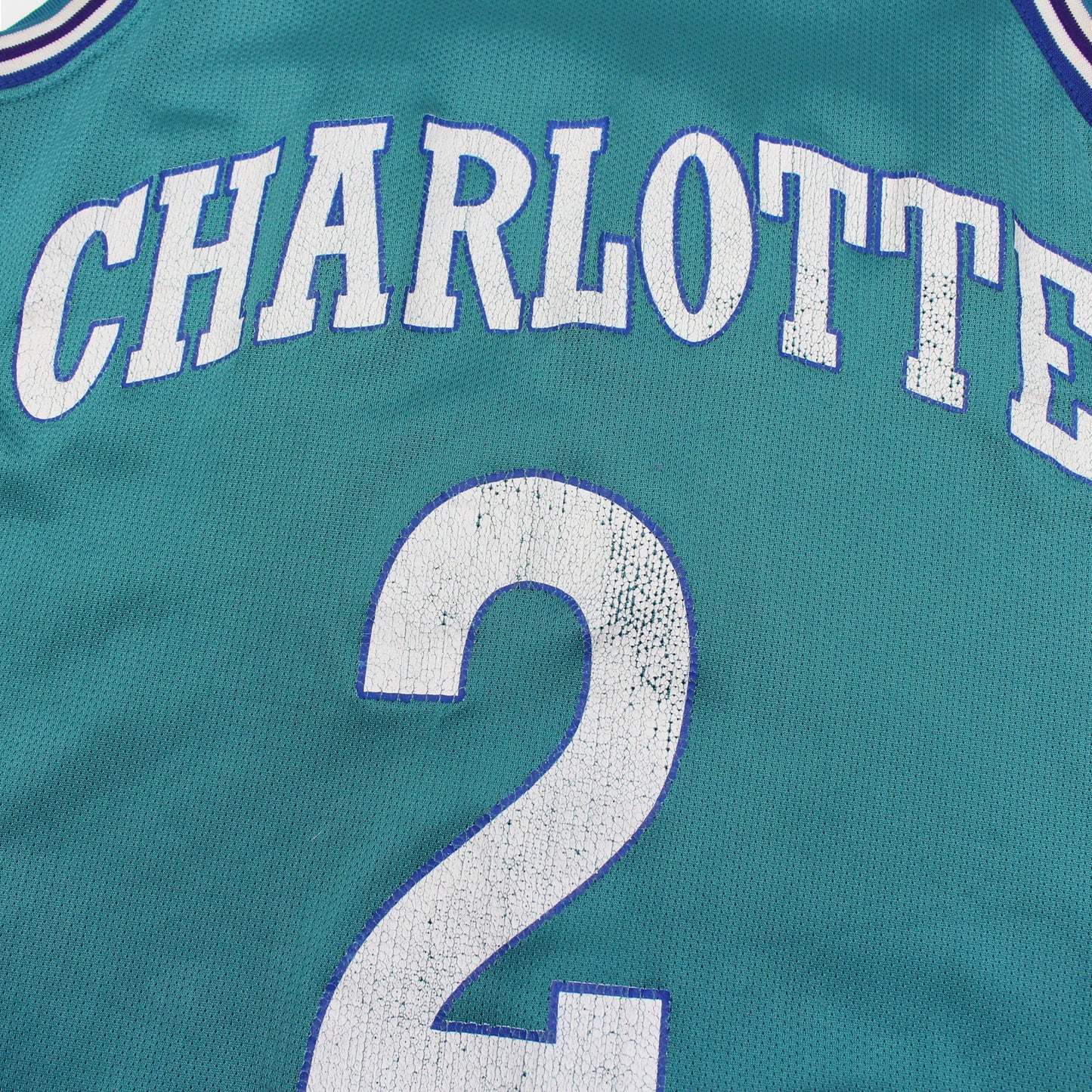 1992-95 Charlotte Hornets Champion #2 L Johnson Jersey (XS)