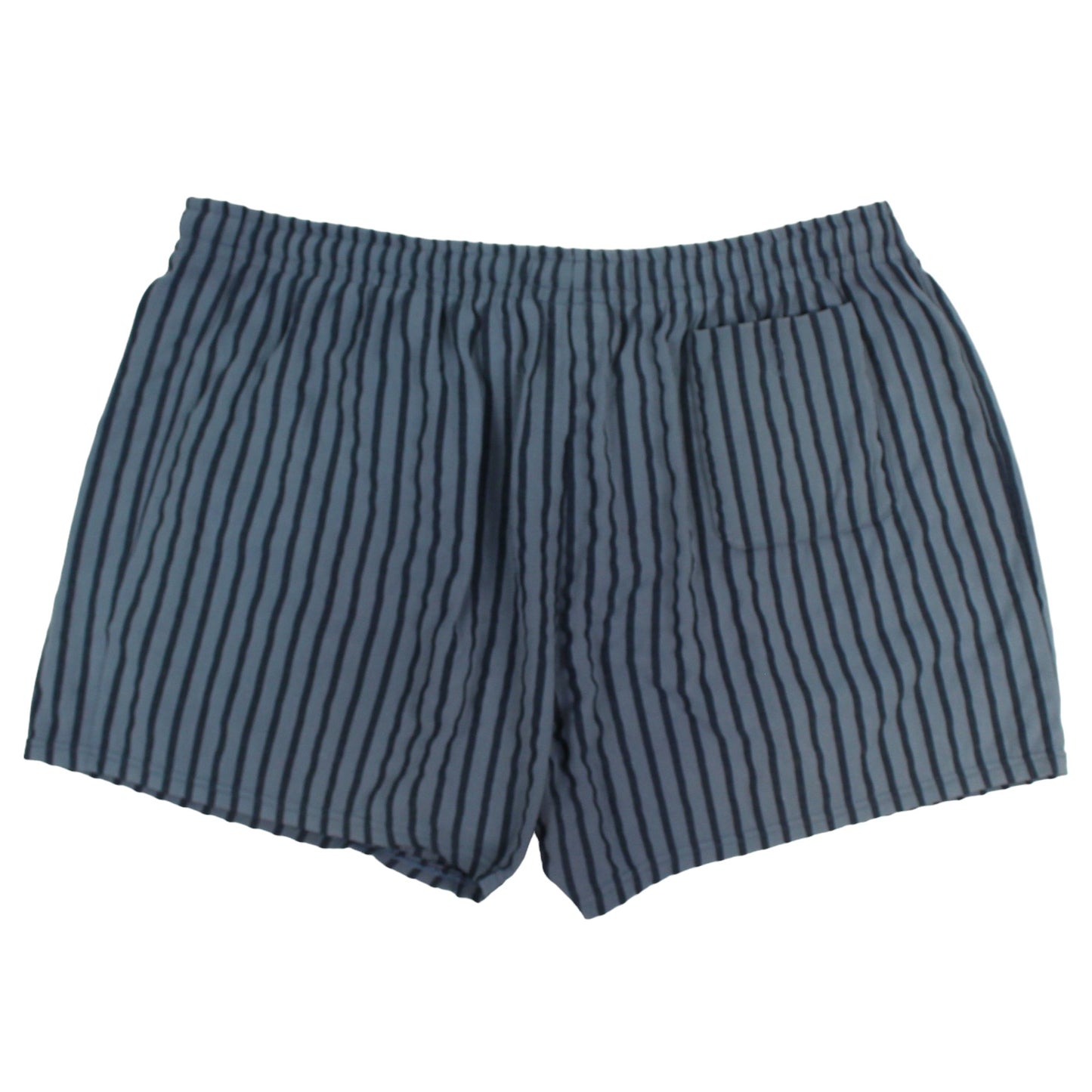 00s Lacoste Blue Striped Swim Shorts (L)