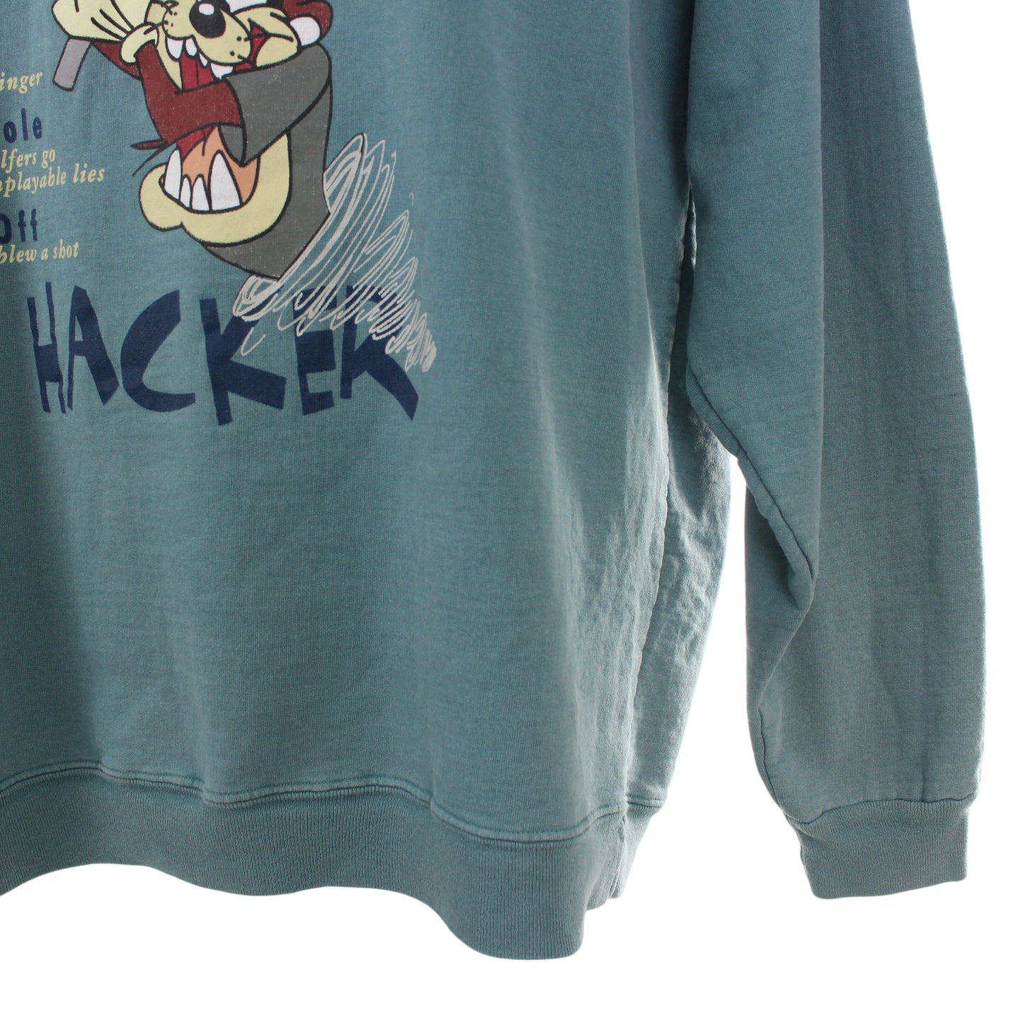 90s Warner Bros Taz Blue Sweatshirt (M)